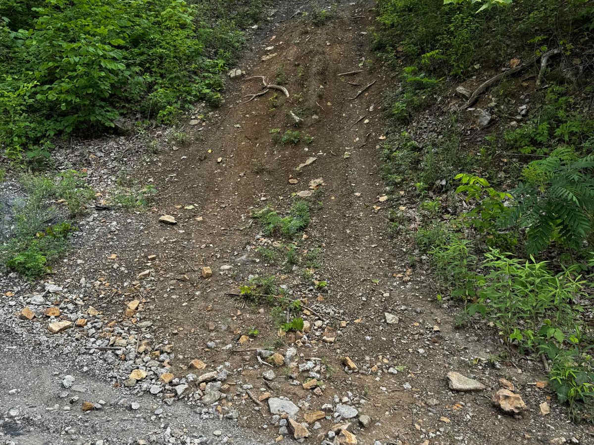 Yellow 175 trail photo