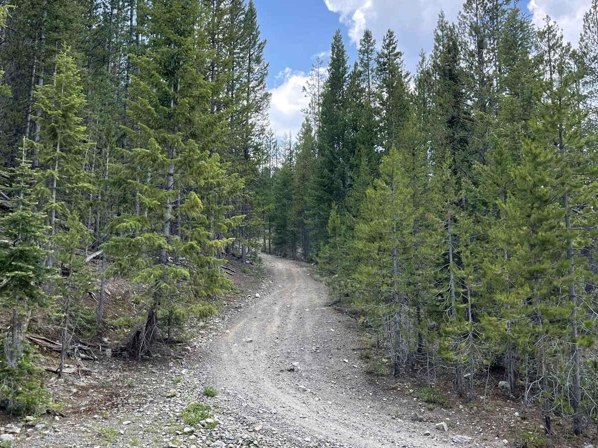Rainbow Creek ATV photo 3