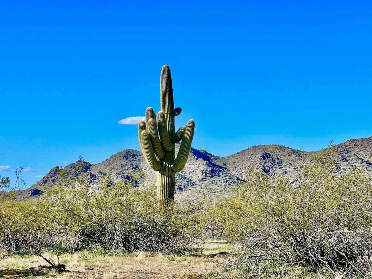 Brahma Tank Pass trail photo