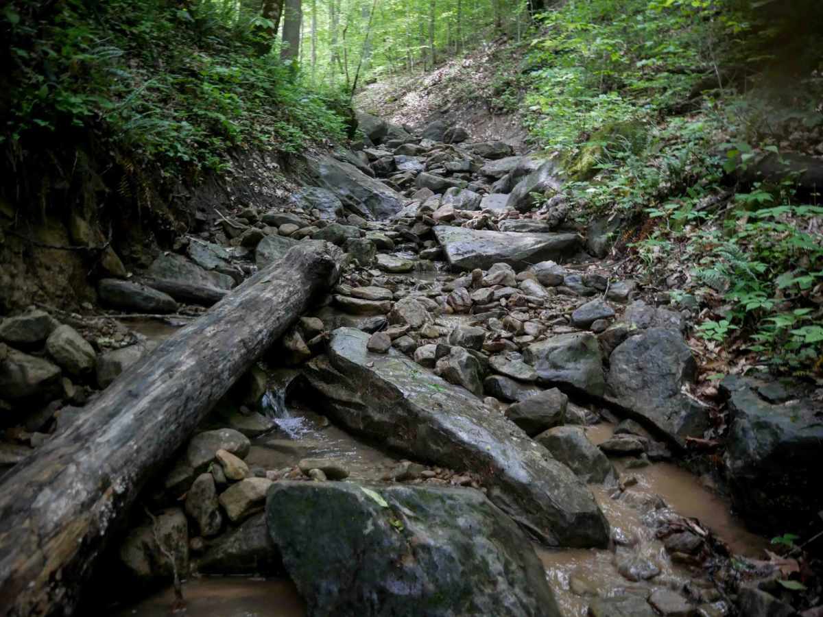 B71 trail photo