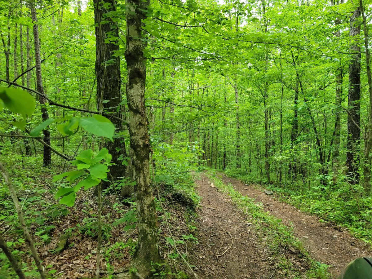 Turner Over Bypass trail photo