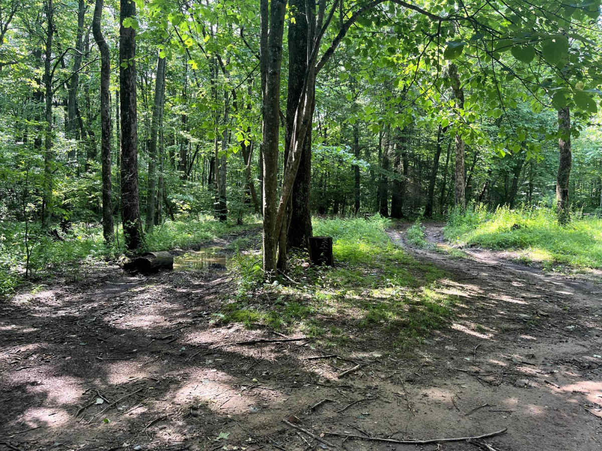 Flat Top Mountain photo 6