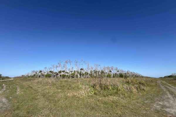 DeSoto Boulevard South