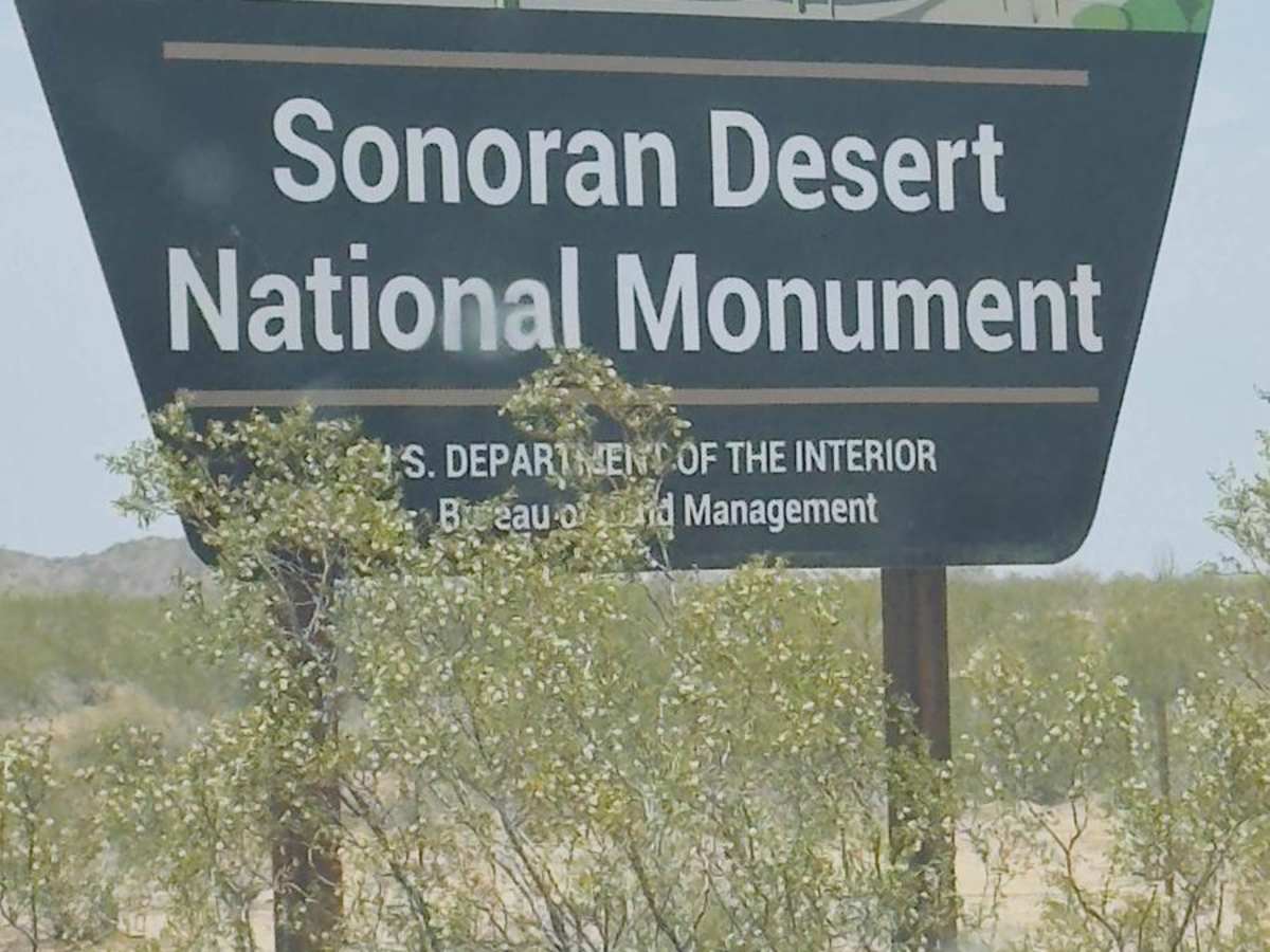 Sonoran Desert National Monument Trail trail photo
