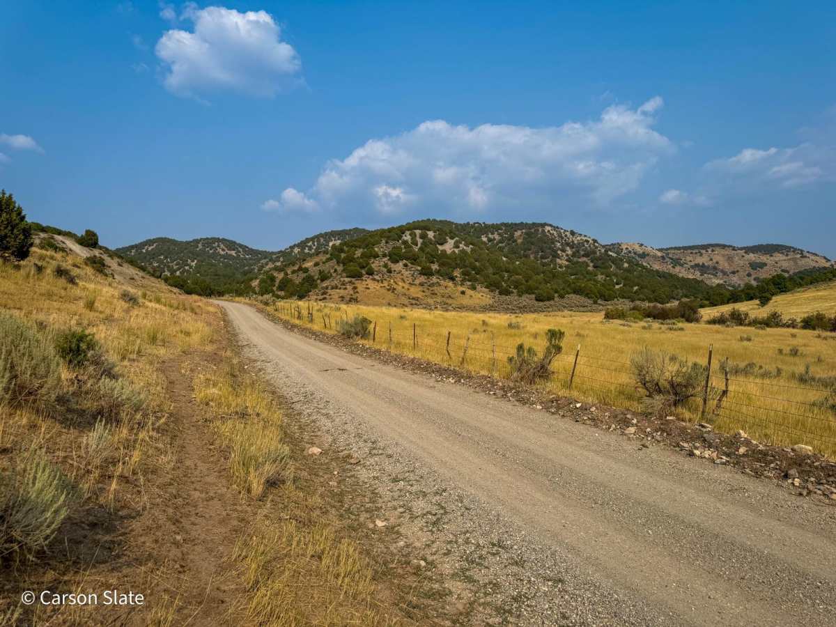Two-Mile Canyon photo 3