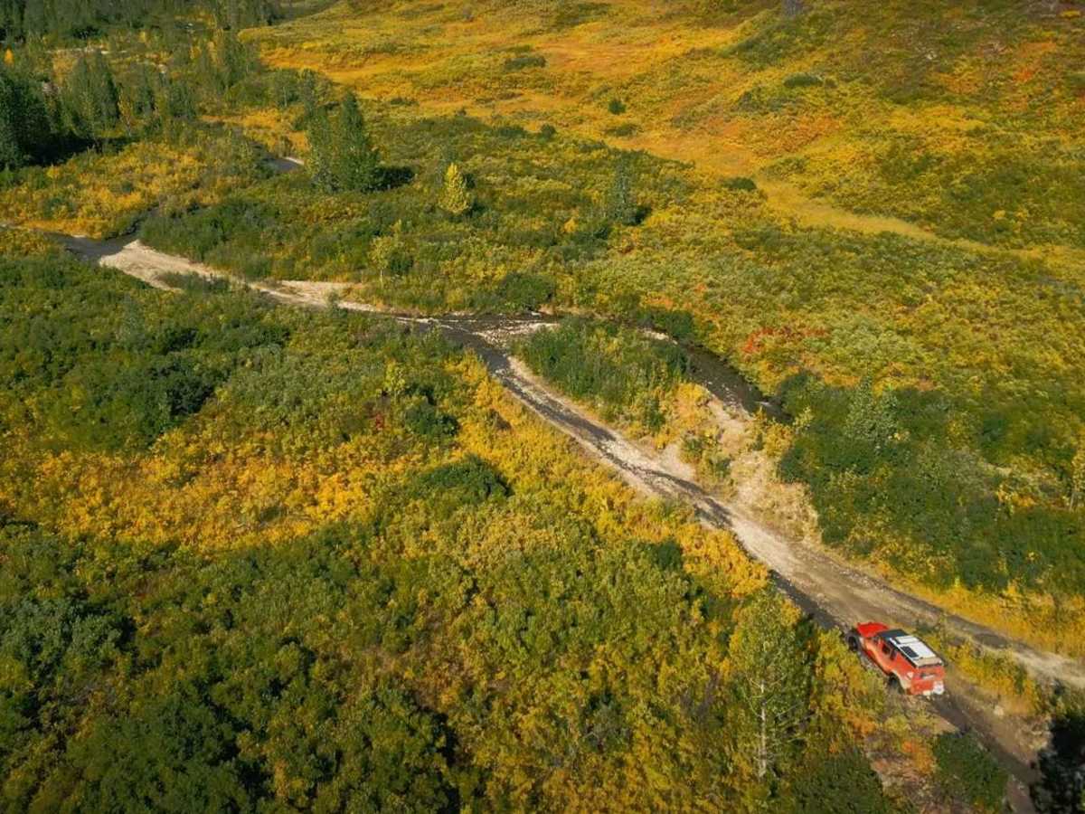 Denali Border photo 6