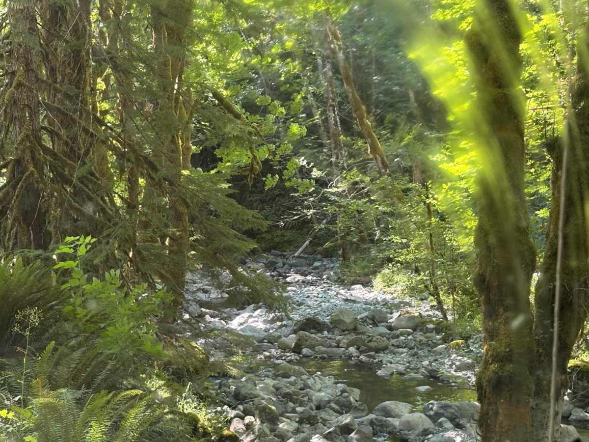 Sherk Lake photo 4
