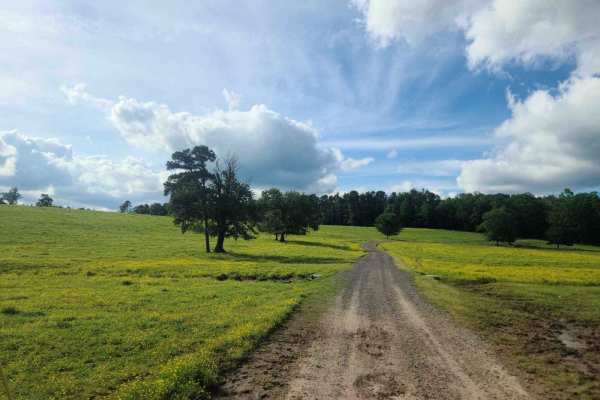 417 Road / Bent Chicken House Road