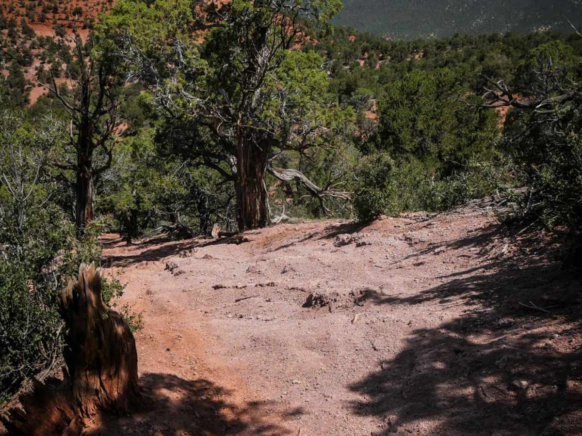 BLM 8622 trail photo