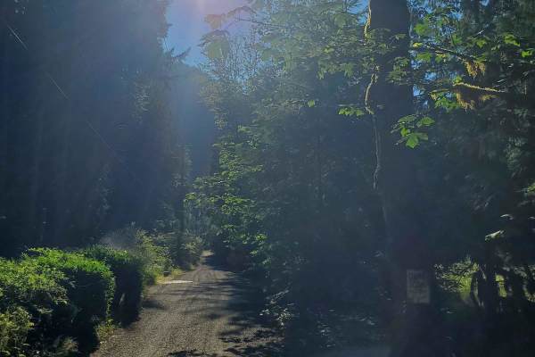 Road to Zigzag Mountain Hiking Trail