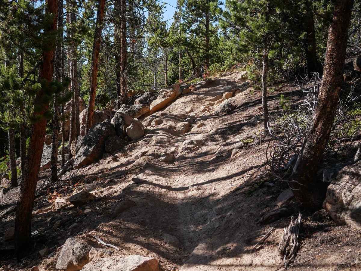 Powerline trail photo