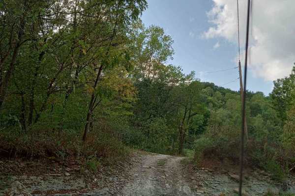 Bloody Run Road