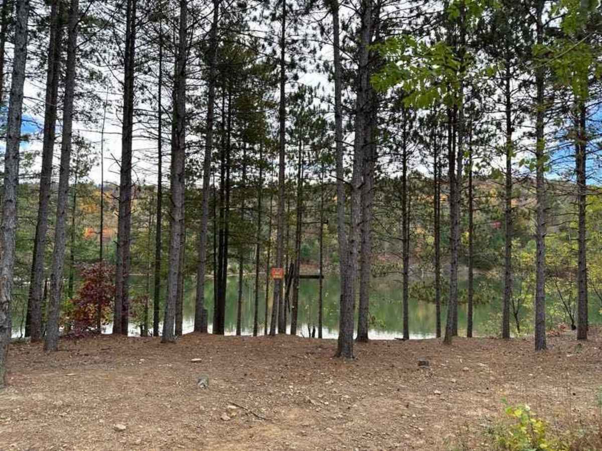 ATV Trail 46 photo 3