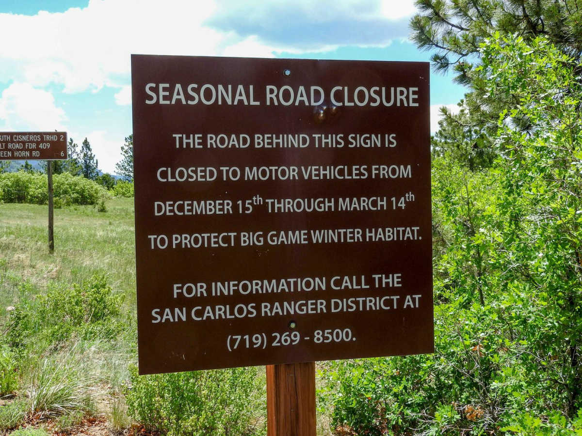 Salt Creek Forest Road 409 trail photo