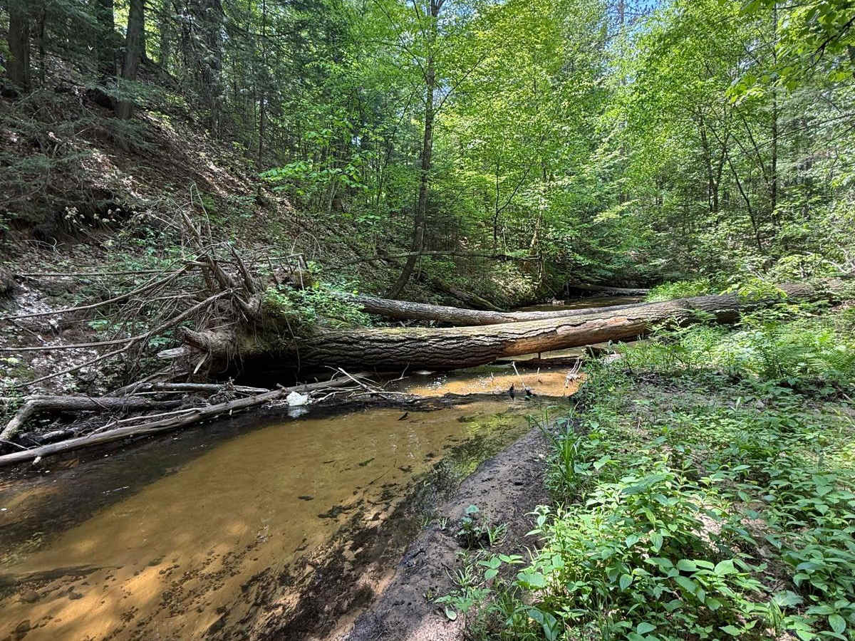 Glosinger Trail trail photo