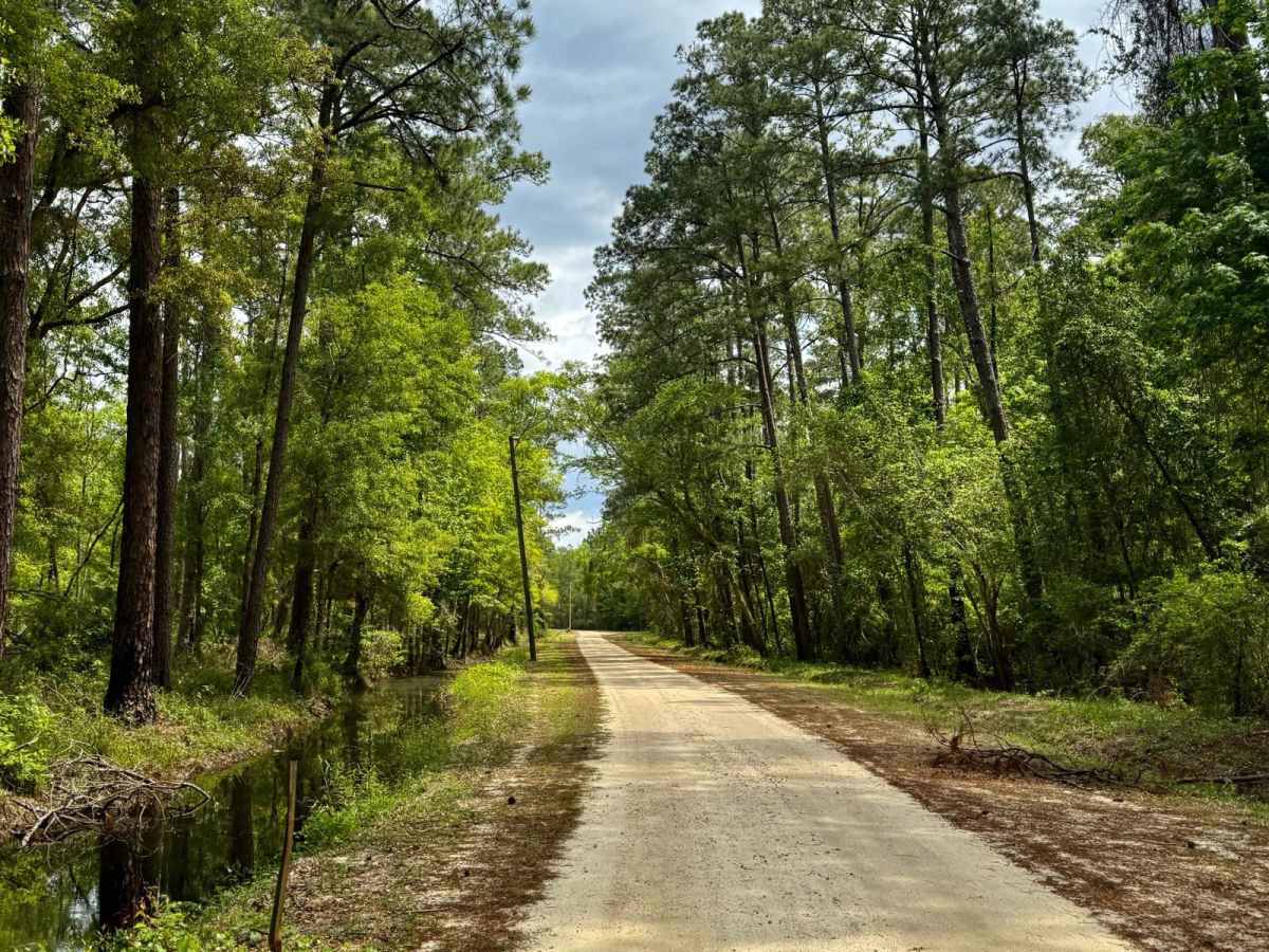 Bloody Bluff Road photo 4