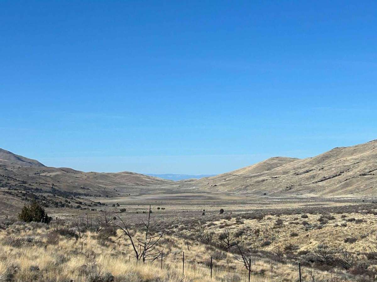 Wildhorse Track photo 4