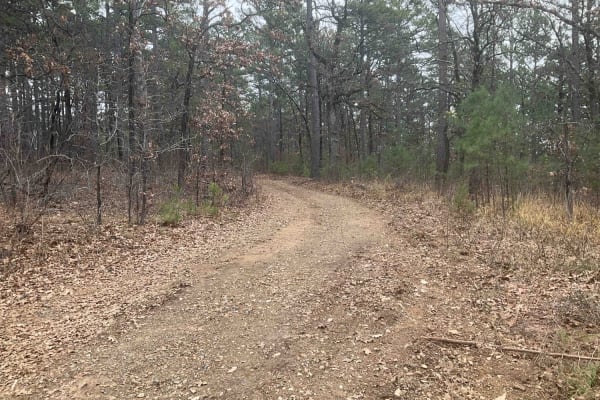 Tower Trail