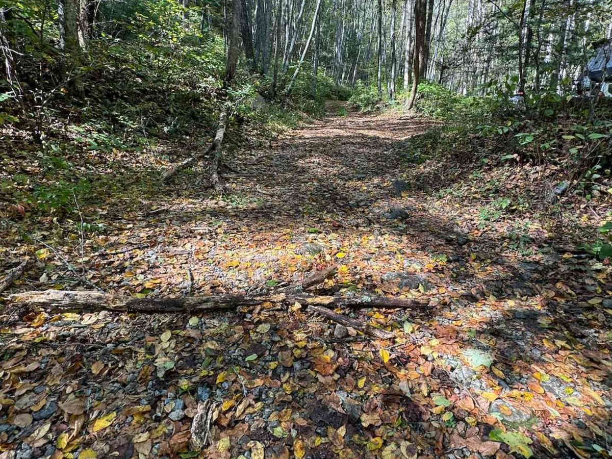 Shoe Creek photo 2