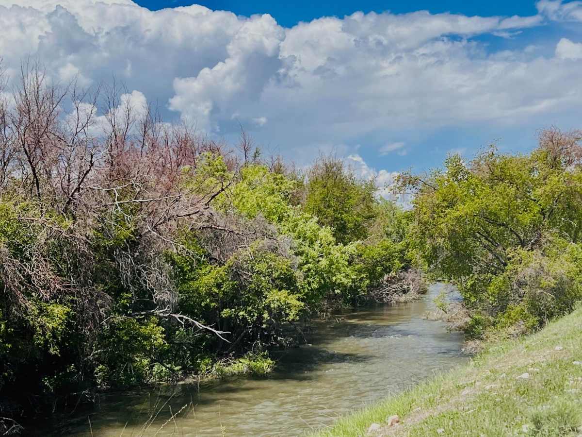 Birch Creek Free Area photo 6