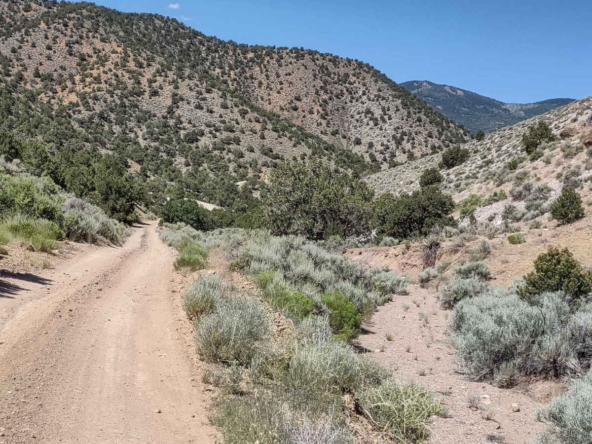 Views of Big Rock Candy Mountain Canyon photo 2