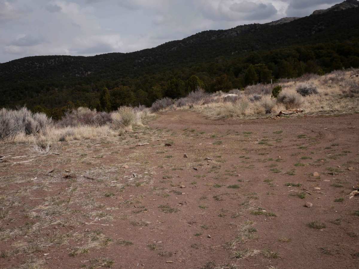 Bull Rush ATV Trail photo 4