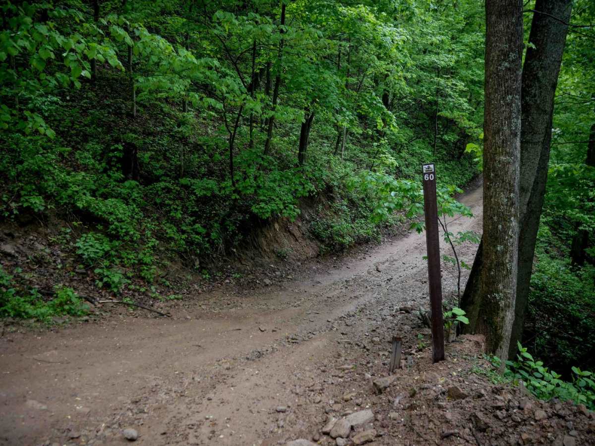 DA 60 trail photo