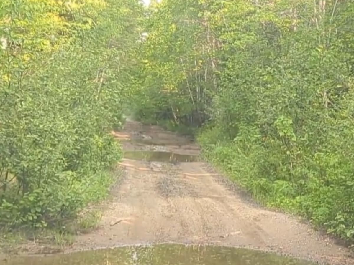 Claudie Road photo 3