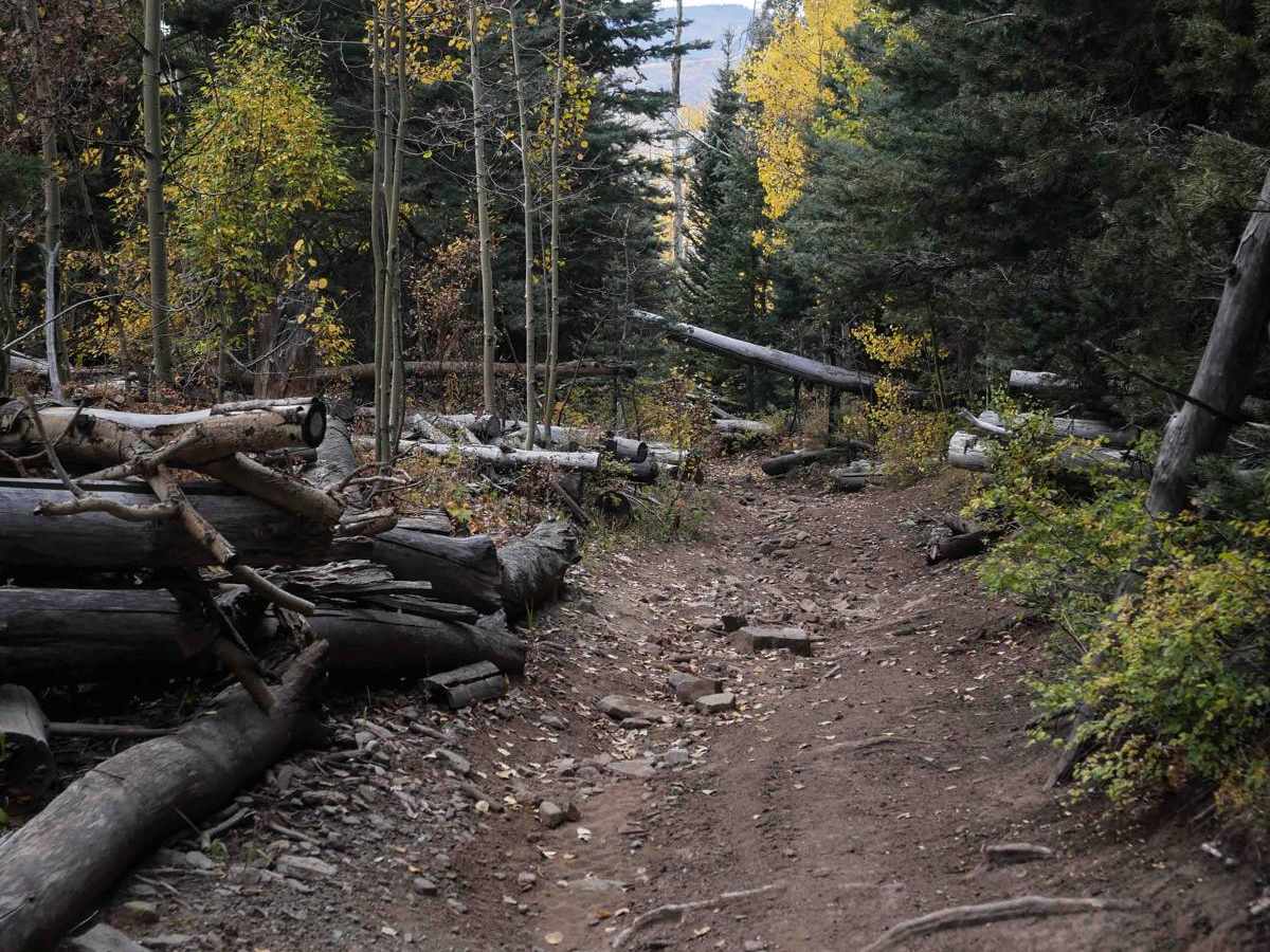 Runlett ATV photo 5