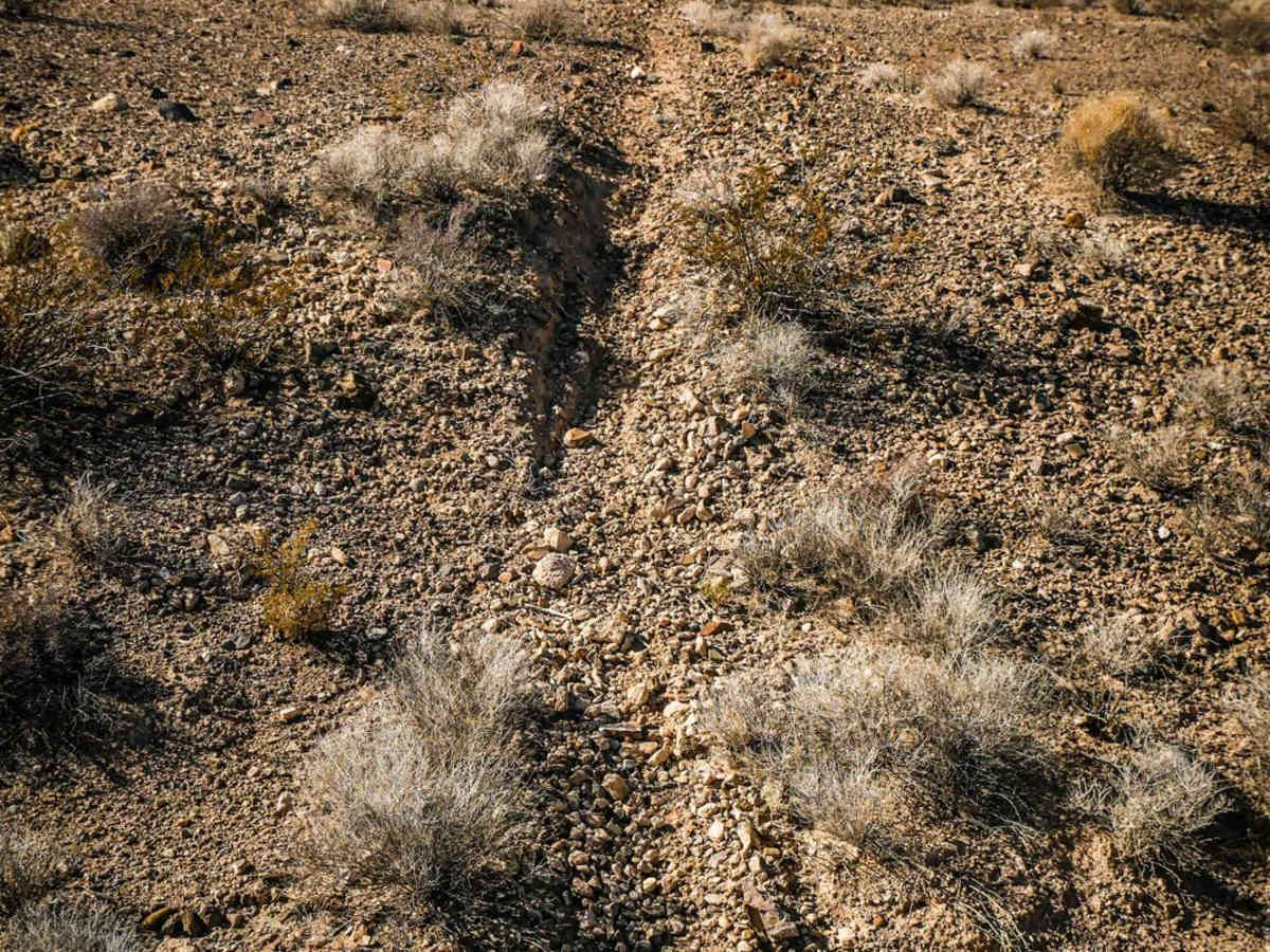 Shorts Trail photo 5