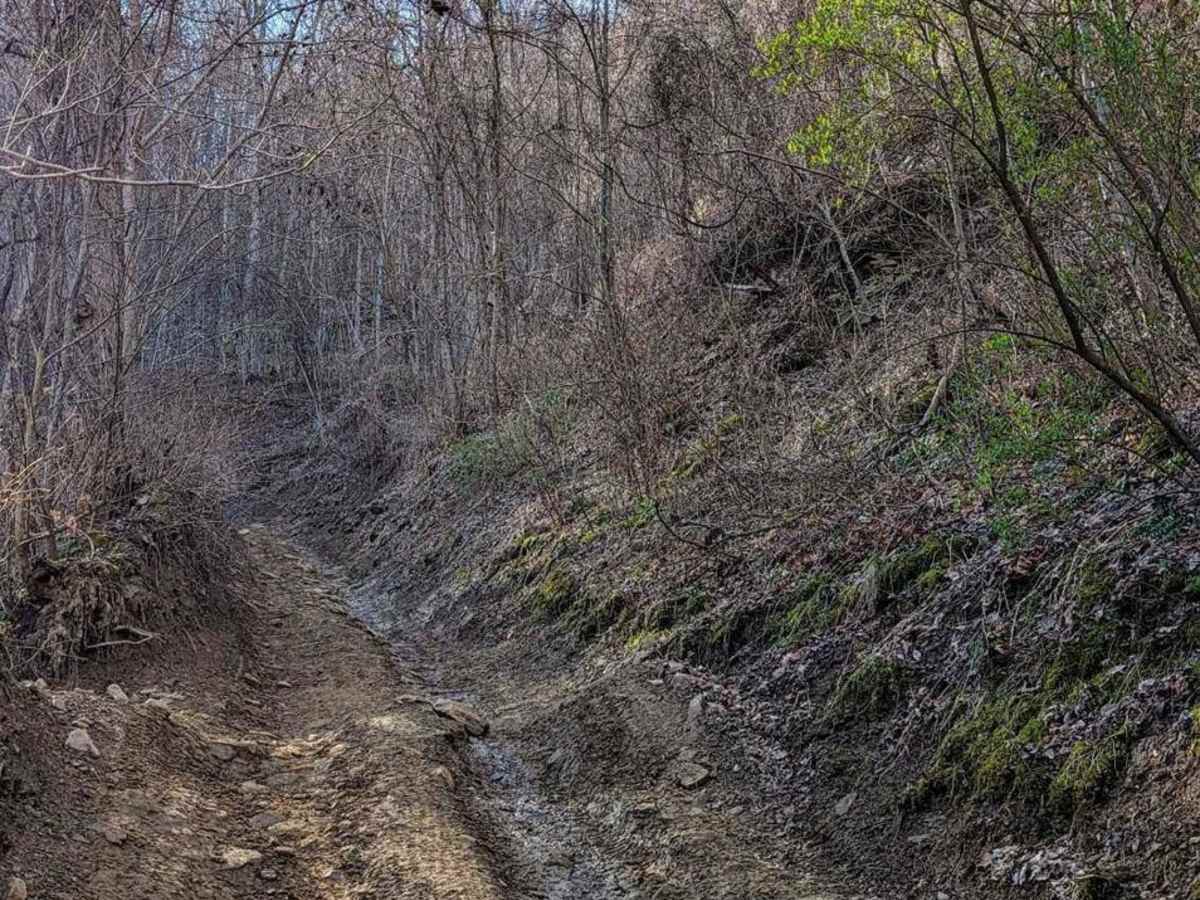 Access Road/Trail 48 photo 6