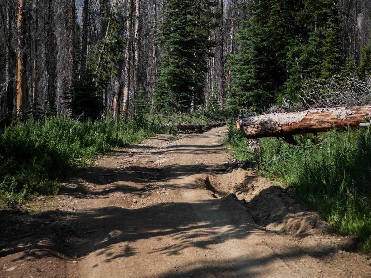 Beaver Loon to Pinyon Peak Look Out photo 6