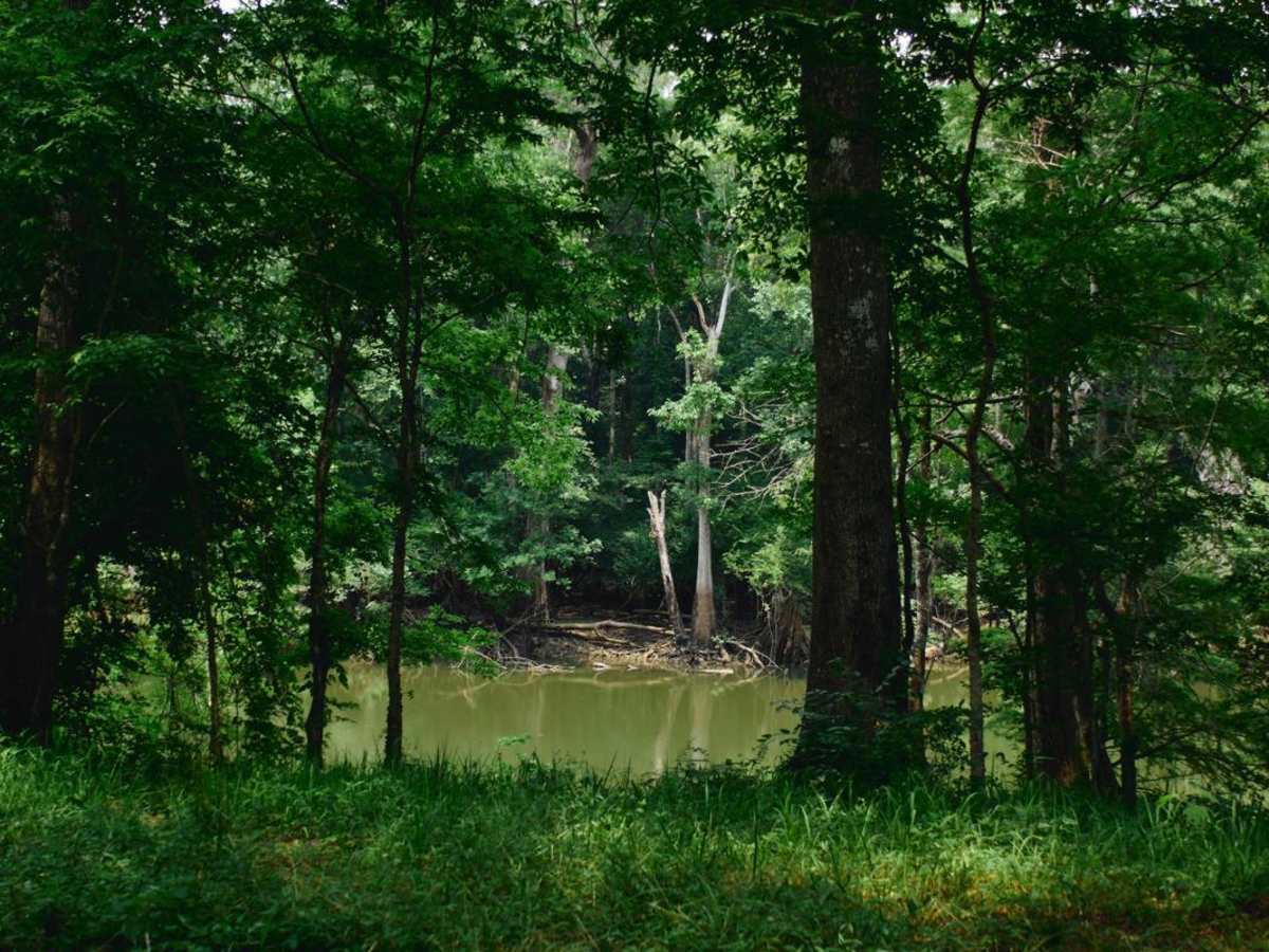 Guilliard Lake - FSR 150 photo 5