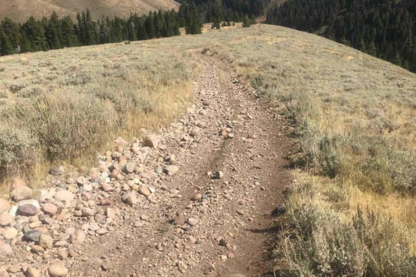 West Modoc Creek Trail