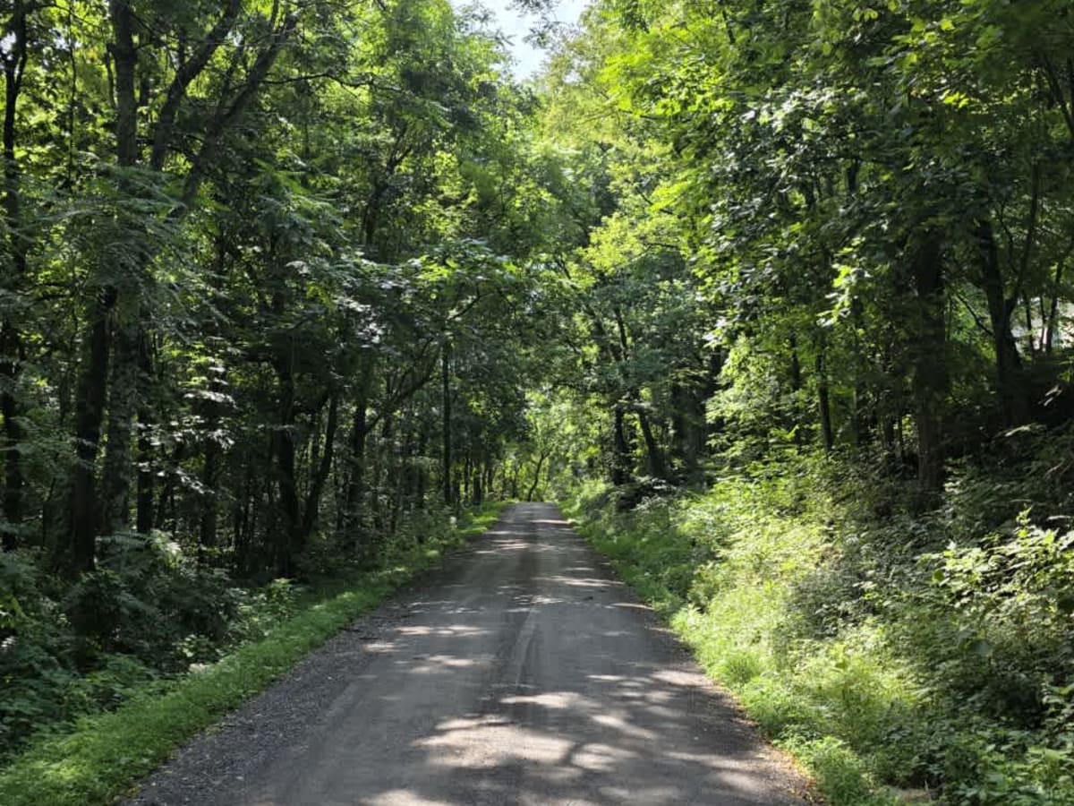 Sullivan Hollow Road - Macon County Tour trail photo