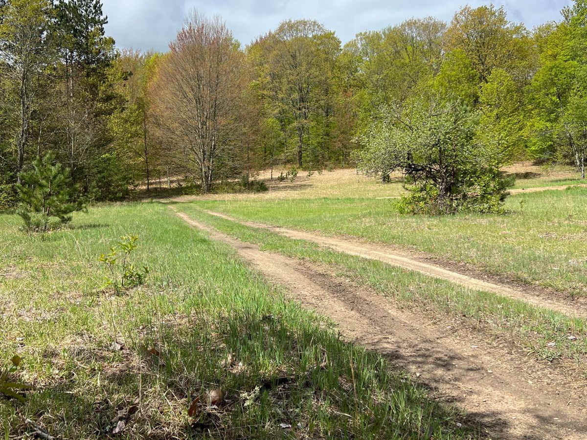 6 Loop Trail photo 2
