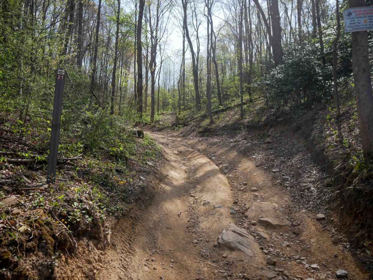 P21 trail photo