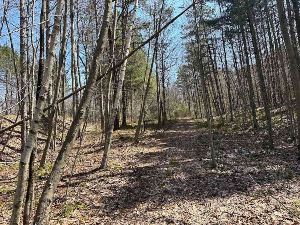 Ashland 113 photo 6