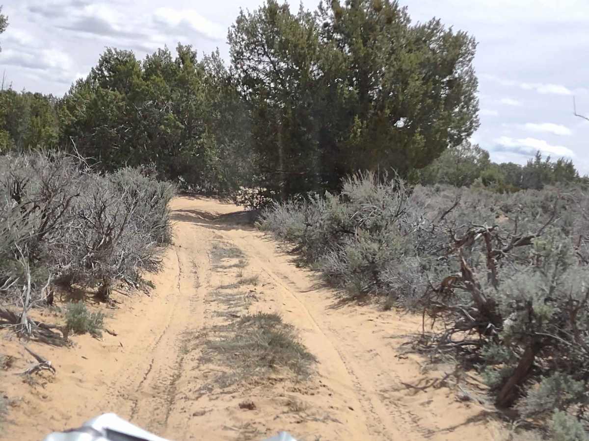 Sandy Grand Prix (BLM 104C) photo 4