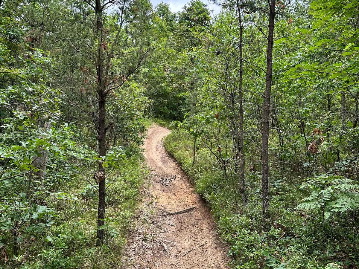 N/W Little Manistee Motorcycle Trail photo 2