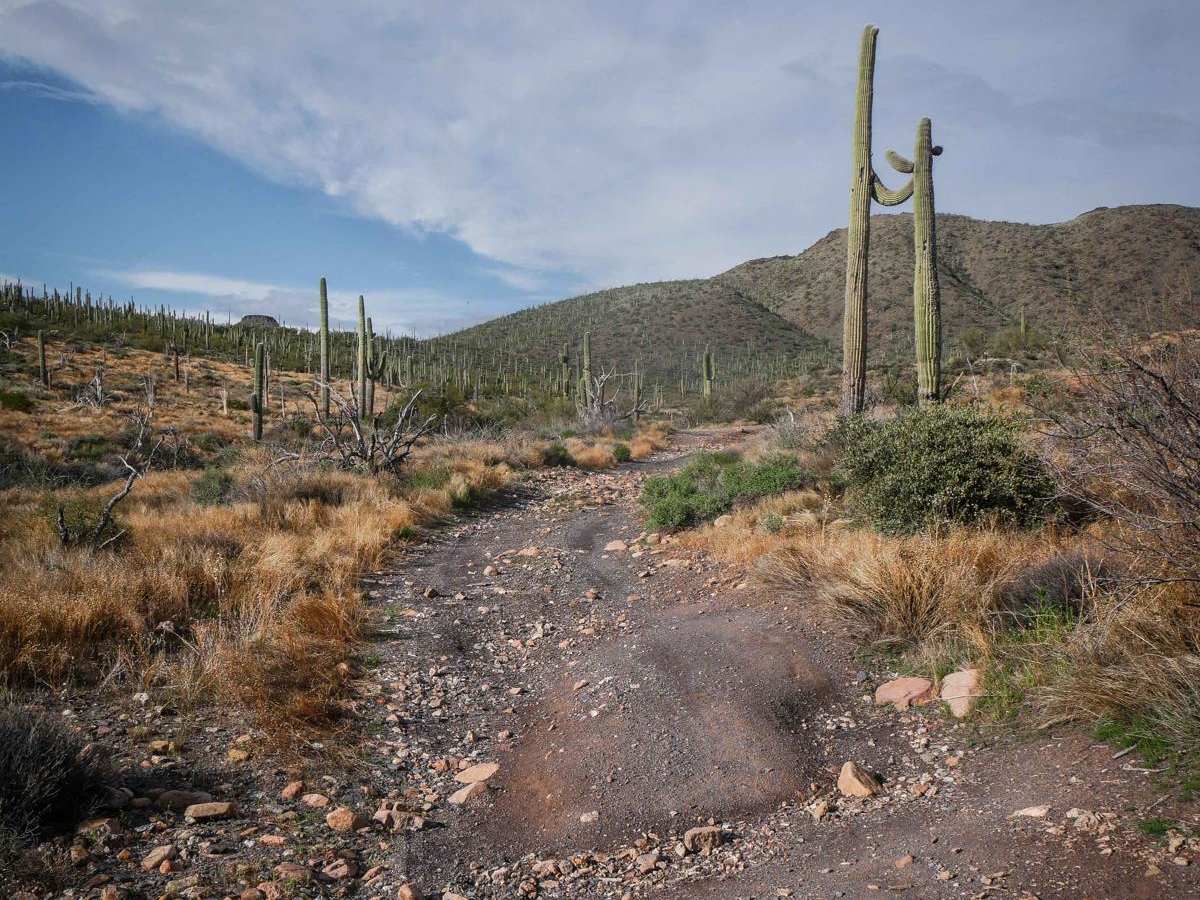 King Well 497 trail photo