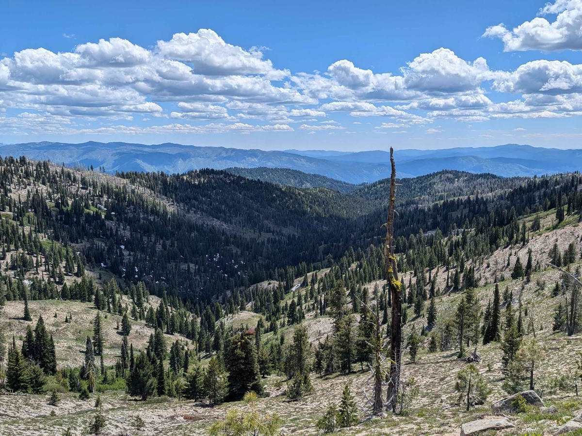 Forest Service Road 555BC - Scott Mtn. Lookout photo 6