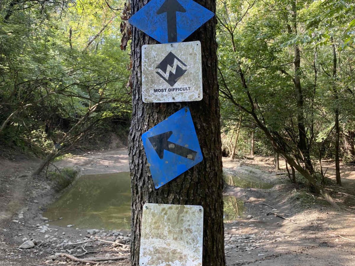 Blue Trail photo 5