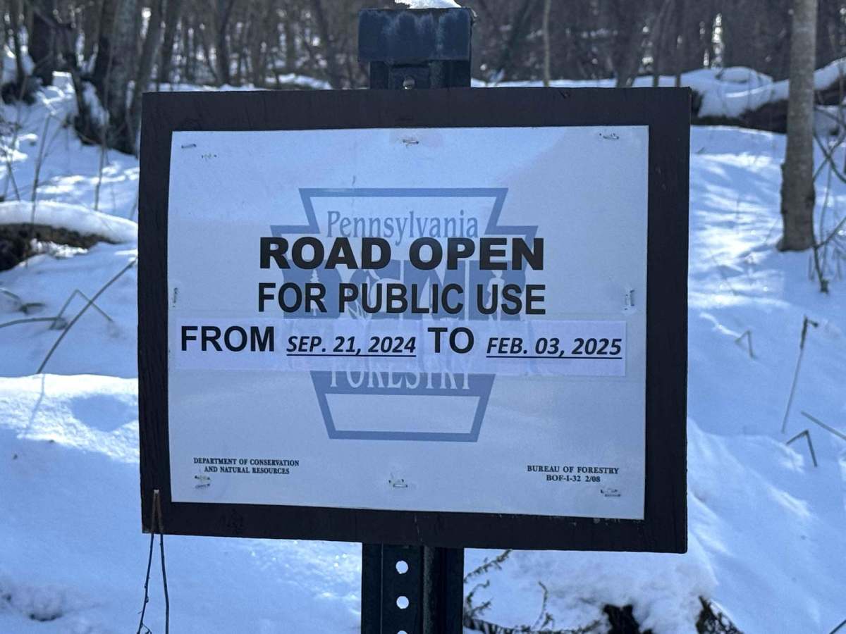 McCarty Road photo 2