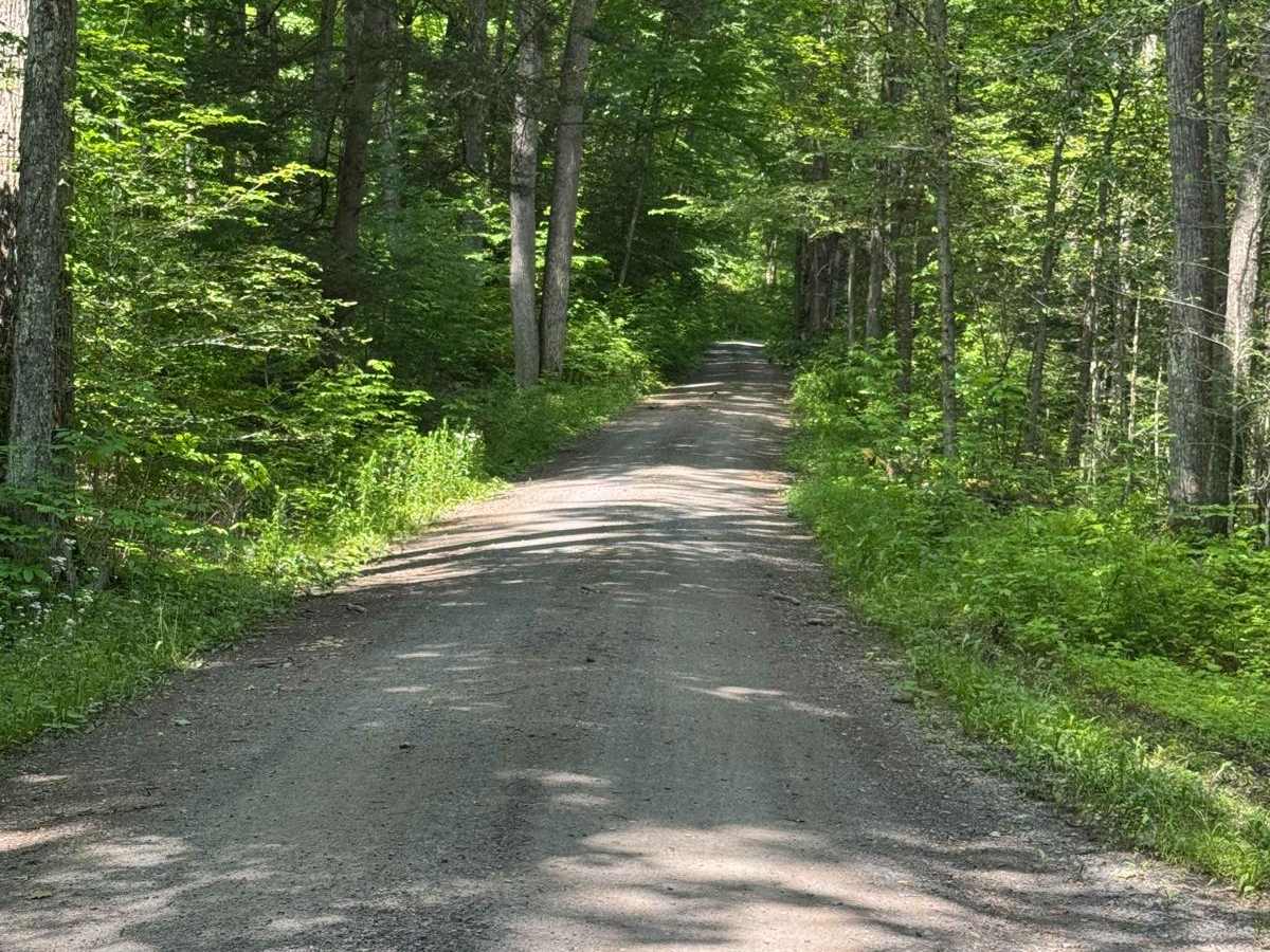 Abes Fork Road photo 2