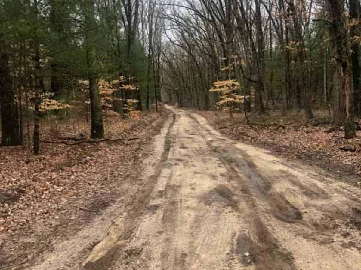 Allegan Forest 120th Street to 44th Street photo 3
