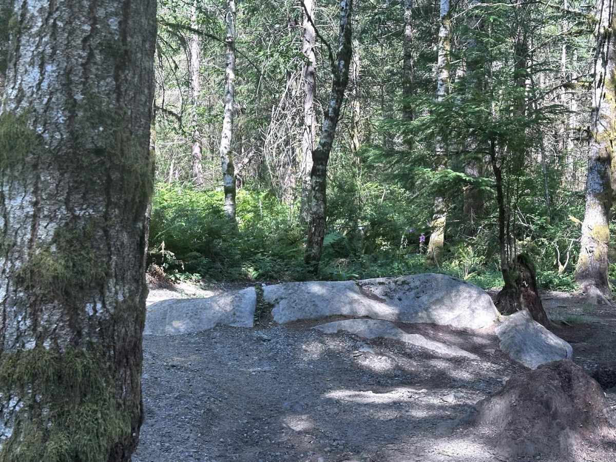 Lovers Lane trail photo