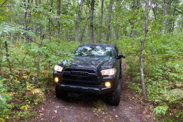 Ward Hills Loop
