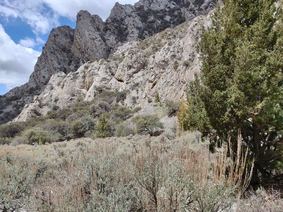 Wood Canyon to Arco Pass photo 6