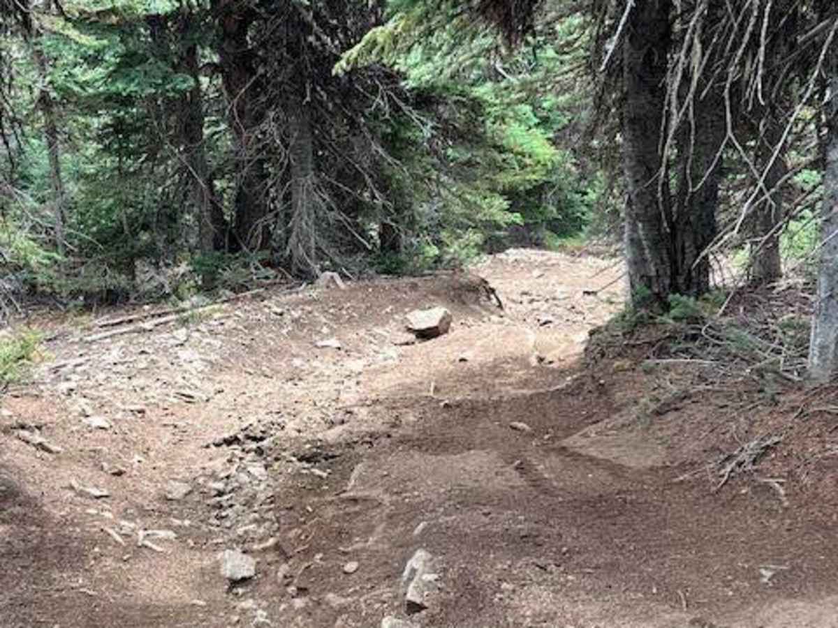 Manastash Trail West photo 6